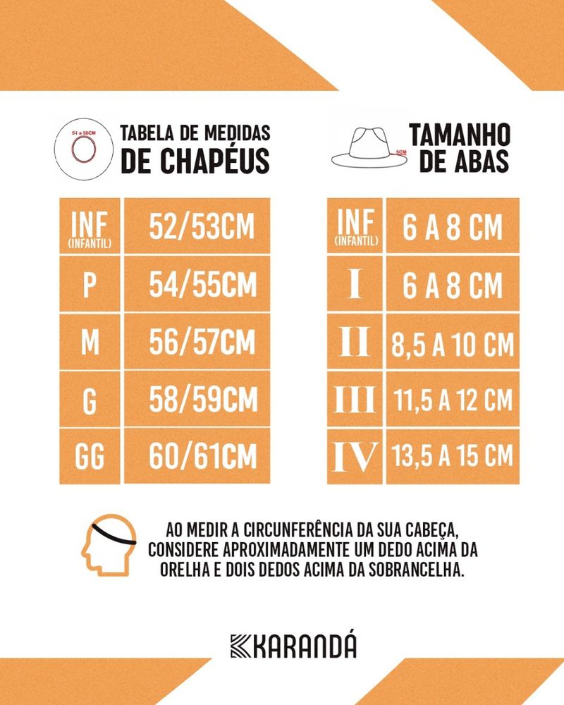 CHAPÉU C CAMPEIRO 30X A ABA M